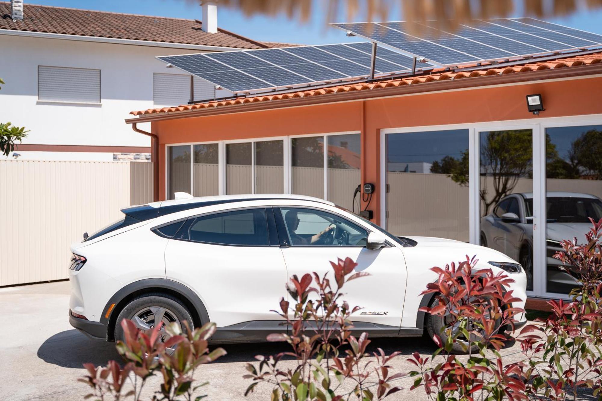 Magnolia Luxury Villa Vieira de Leiria Buitenkant foto